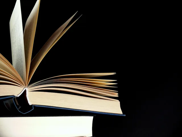 literature, wisdom, knowledge, library, training, a book, side, novel, data, school, bookstore, paper, textbook, science, poetry, novel, bookstore, poetry, poetry, poetry, poetry, poetry. Check whether an AI vendor uses submitted data for training